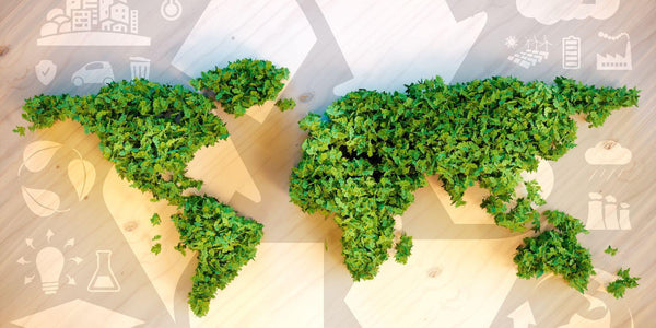 How we Offset your Delivery Emissions - Trading Post Coffee Roasters 
