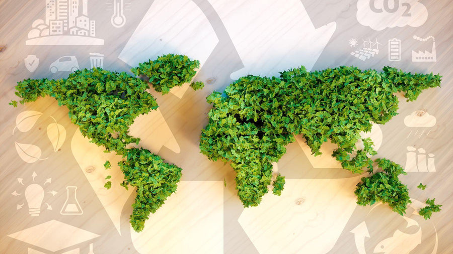 How we Offset your Delivery Emissions - Trading Post Coffee Roasters 