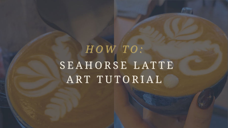 Seahorse Latte Art Tutorial 