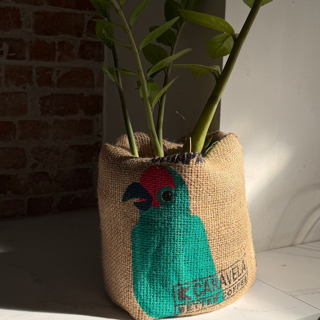 Hessian Coffee Sacks