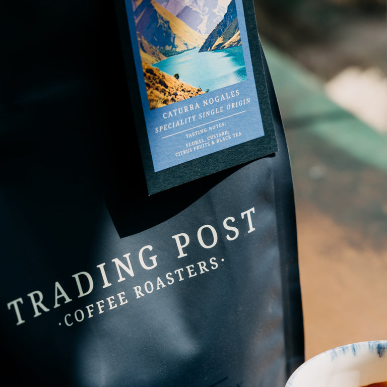 Caturra Nogales - Colombia Speciality Single Origin